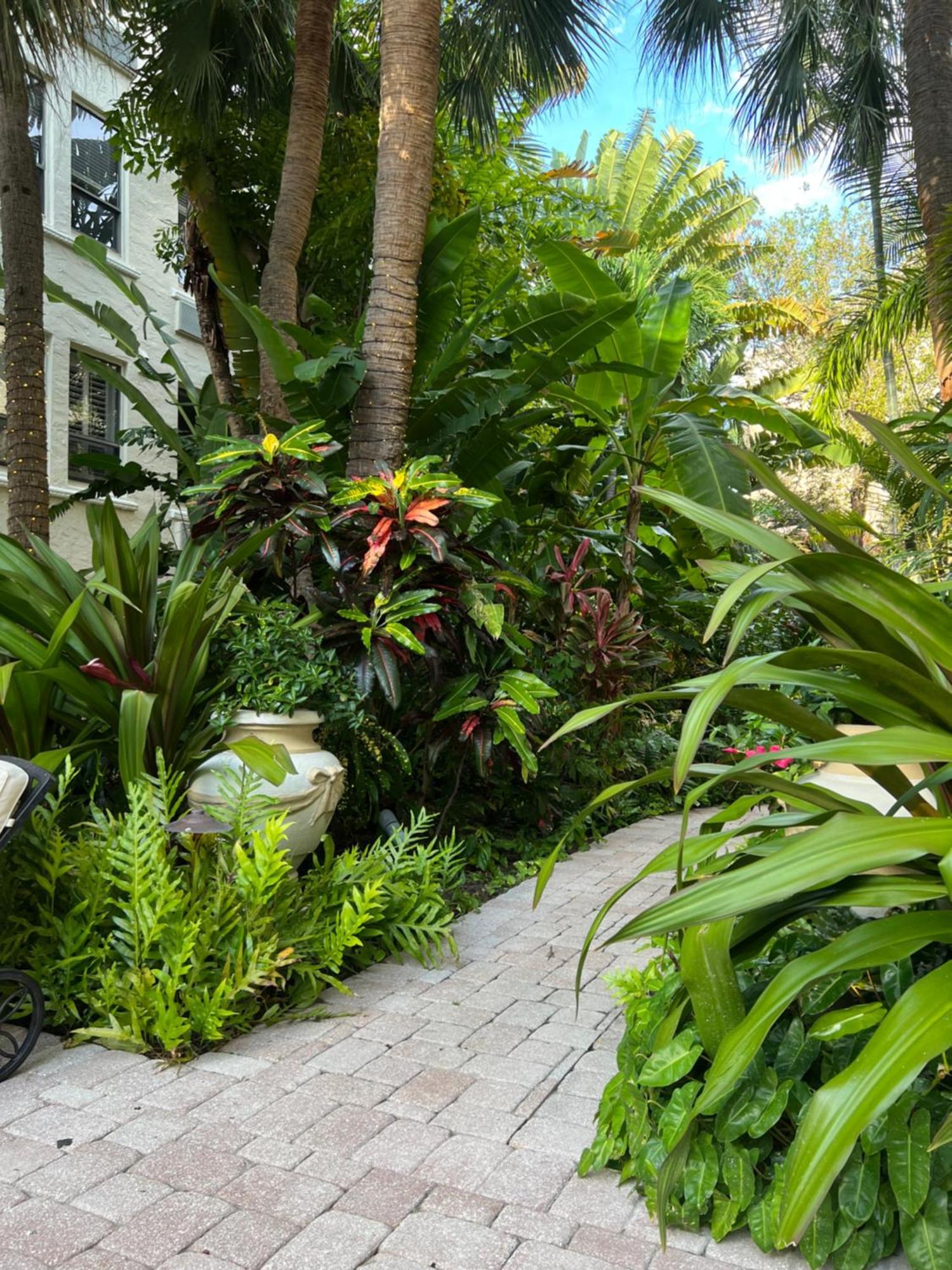 Orchid Suites - Historic Palm Beach Hotel Condominium Luaran gambar