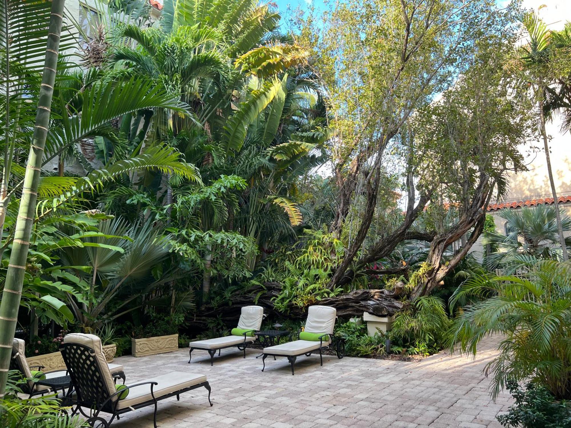 Orchid Suites - Historic Palm Beach Hotel Condominium Luaran gambar