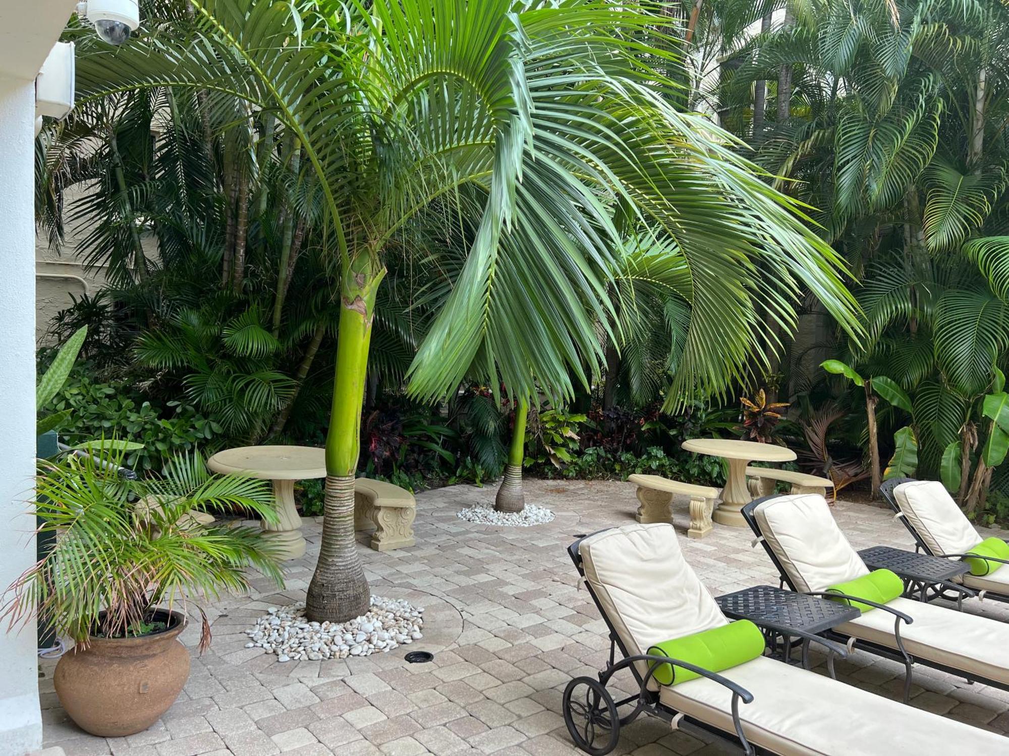 Orchid Suites - Historic Palm Beach Hotel Condominium Luaran gambar