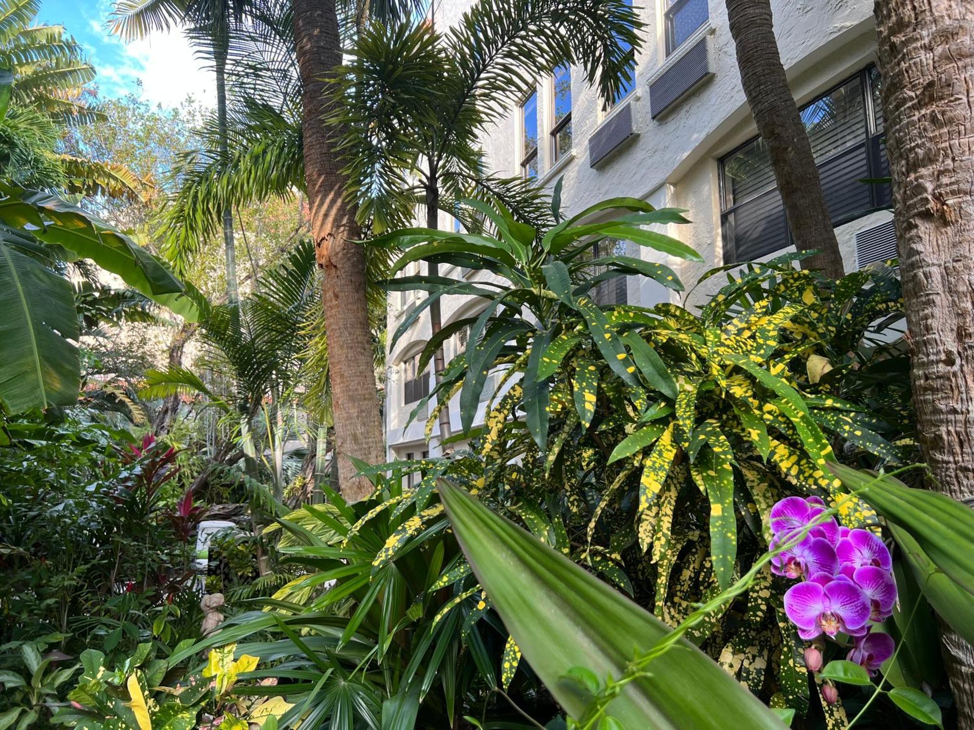 Orchid Suites - Historic Palm Beach Hotel Condominium Luaran gambar